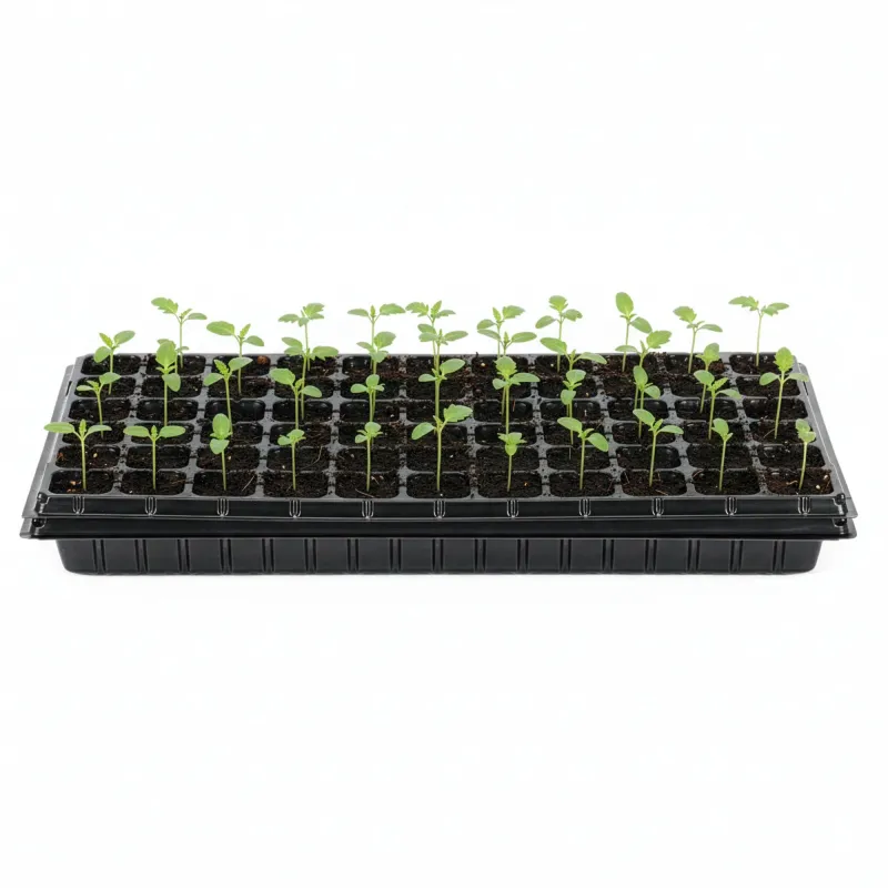 Multisection tray GA0221 52.5 x 31.5 cm